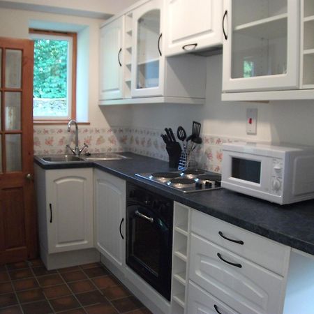 Bryn Cottage Llandderfel Dış mekan fotoğraf