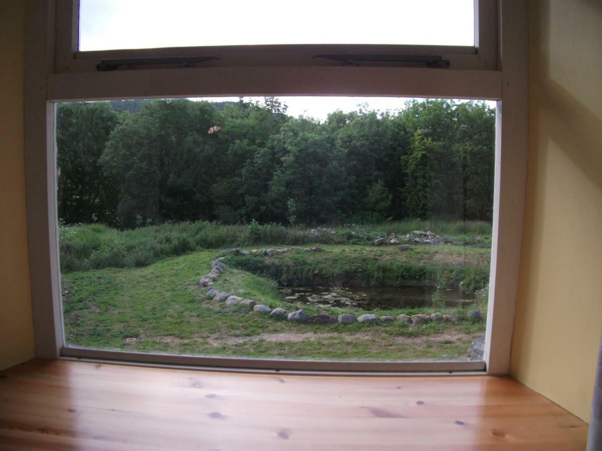 Bryn Cottage Llandderfel Dış mekan fotoğraf