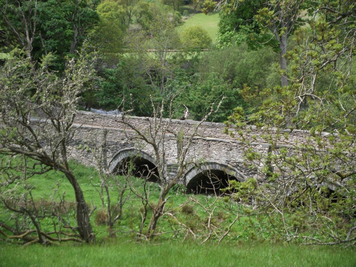 Bryn Cottage Llandderfel Dış mekan fotoğraf